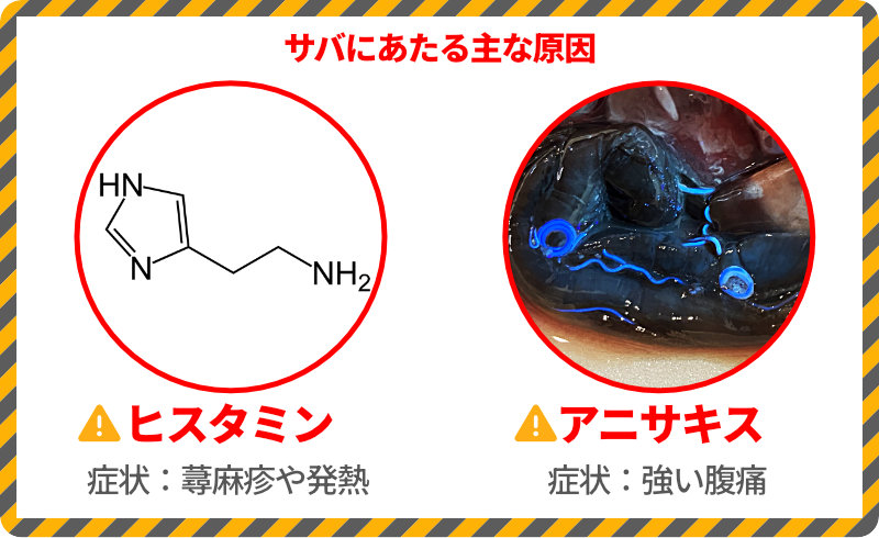 サバにあたる主な原因