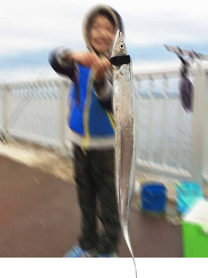 ワニグリップミニは子どもと共用するのに最適な魚バサミ | Fam Fishing